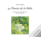 40 Plantes De La Bible