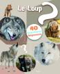 40 Questions/Réponses : Le Loup - Preview