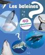 40 Questions/Réponses : Les Baleines - Preview