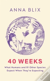 Capa do artigo 40 Weeks