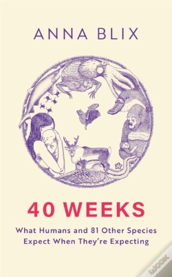 Capa do artigo 40 Weeks