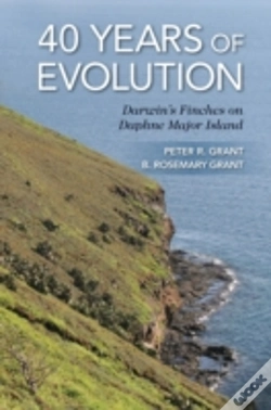 Capa do artigo 40 Years Of Evolution