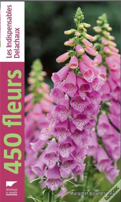 Capa do artigo 450 Fleurs