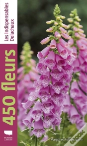 Capa do artigo 450 Fleurs