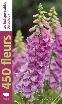 Capa do artigo 450 Fleurs