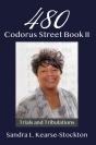 480 Codorus Street Book Ii - Preview
