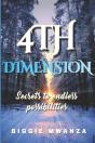 4th Dimension - Preview
