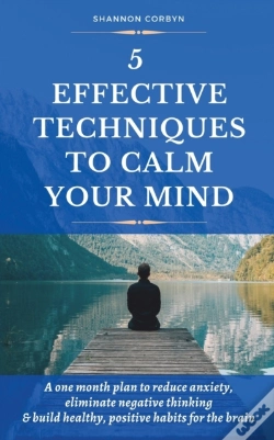 Capa do artigo 5 Effective Techniques To Calm Your Mind