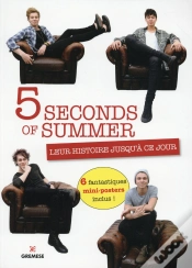 Capa do artigo 5 Seconds Of Summer