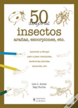 Capa do artigo 50 Dibujos De Insectos, Arañas, Escorpiones, Etc.