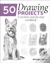 Capa do artigo 50 Drawing Projects