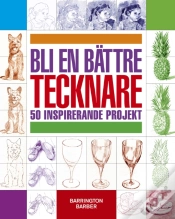 Capa do artigo 50 Drawing Projects