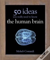 50 Human Brain Ideas You Really Need To Know