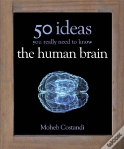 Capa do artigo 50 Human Brain Ideas You Really Need To Know