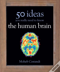 Capa do artigo 50 Human Brain Ideas You Really Need To Know