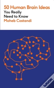 Capa do artigo 50 Human Brain Ideas You Really Need To Know