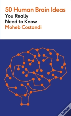 Capa do artigo 50 Human Brain Ideas You Really Need To Know