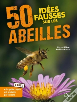 Capa do artigo 50 Idées Fausses Sur Les Abeilles