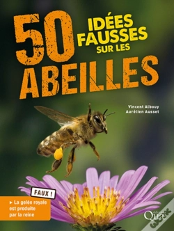 Capa do artigo 50 Idées Fausses Sur Les Abeilles