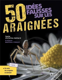 Capa do artigo 50 Idees Fausses Sur Les Araignees