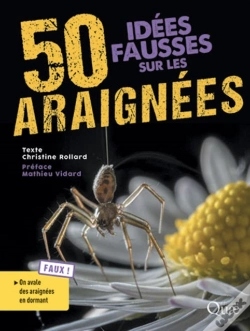 Capa do artigo 50 Idées Fausses Sur Les Araignées