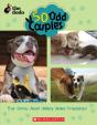 50 Odd Couples - Preview