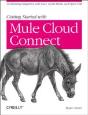 50 Recipes For Enterprise Class Web Services With Mule Esb 3 - Preview