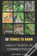 50 Things To Know About Birds In Connecticut