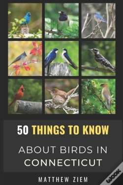 Capa do artigo 50 Things To Know About Birds In Connecticut
