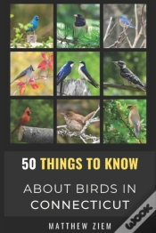 Capa do artigo 50 Things To Know About Birds In Connecticut