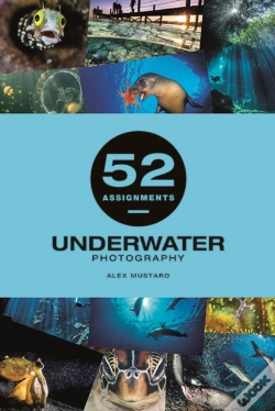 Capa do artigo 52 Assignments: Underwater Photography