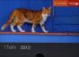 52 Semaines Chats 2012 - Preview