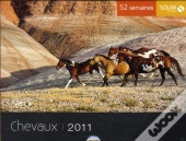 52 Semaines Chevaux 2011