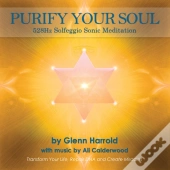 528hz Solfeggio Meditation