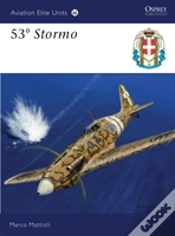 Capa do artigo 53â° Stormo