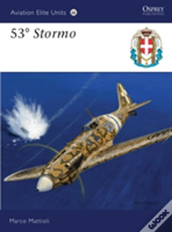 Capa do artigo 53â° Stormo