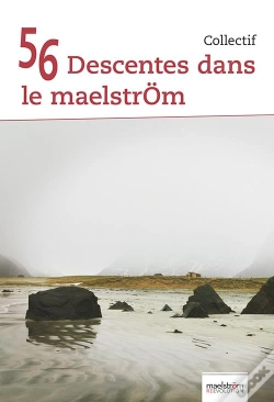 Capa do artigo 56 Descentes Dans Le Maelstrom