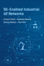 5g-Enabled Industrial Iot Networks - Preview