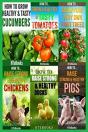 6 Books In 1 - Preview