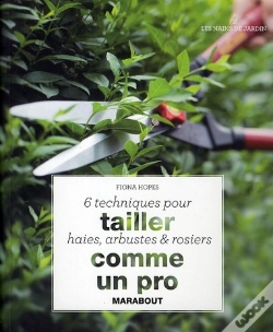 Capa do artigo 6 Techniques Pour Tailler Haies, Arbustes Et Rosiers Comme Un Pro
