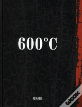 600°C