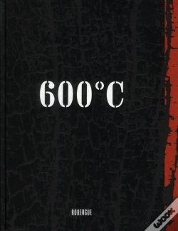Capa do artigo 600°C