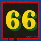 Capa do artigo 66 - Vinil