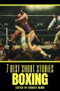 7 Best Short Stories - Boxing - Preview