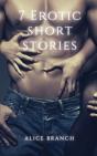 7 Erotic Short Stories - Preview