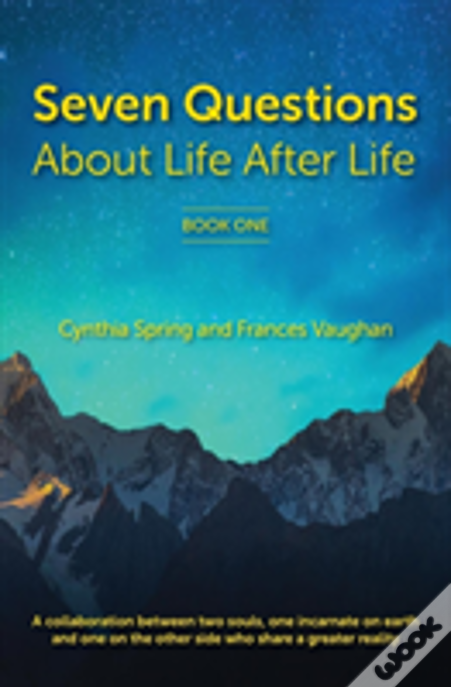 7 Questions About Life After Life: A Collaboration Between Two Souls, One Incarnate On Earth, And One On The Other Side Who Share A Greater Reality