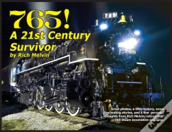 Capa do artigo 765, A Twenty-First Century Survivor: A