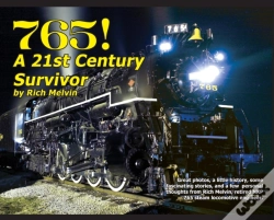 Capa do artigo 765, A Twenty-First Century Survivor: A