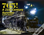 Capa do artigo 765, A Twenty-First Century Survivor: A
