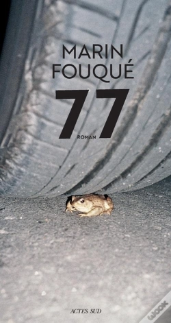 Capa do artigo 77